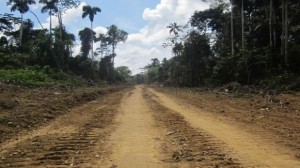 La SERNANP explicó que la construcción de la vía contribuiría al desarrollo de la tala y la minería ilegal.