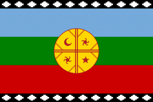 Bandera Mapuche.