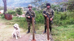 Pese a la acción del Ejército colombiano que dejó 26 guerrilleros muertos, las FARC se mostraron abiertas proseguir con el proceso de paz. (Ejército Nacional de Colombia)