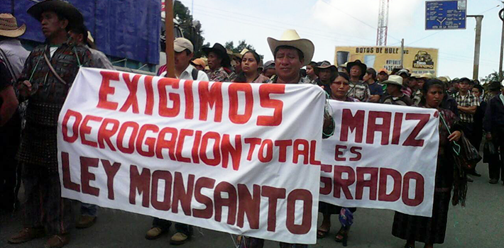 El 1 de septiembre 120.000 guatemaltecos de 82 comunidades indígenas, junto con alcaldes, campesinos y pobladores mostraron su repudio a la Ley Monsanto.