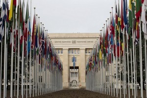 Naciones Unidas ha designado a un investigador especial para los casos internacionales de violación a la privacidad. (UN Geneva)