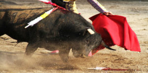 Anti-Bullfight 