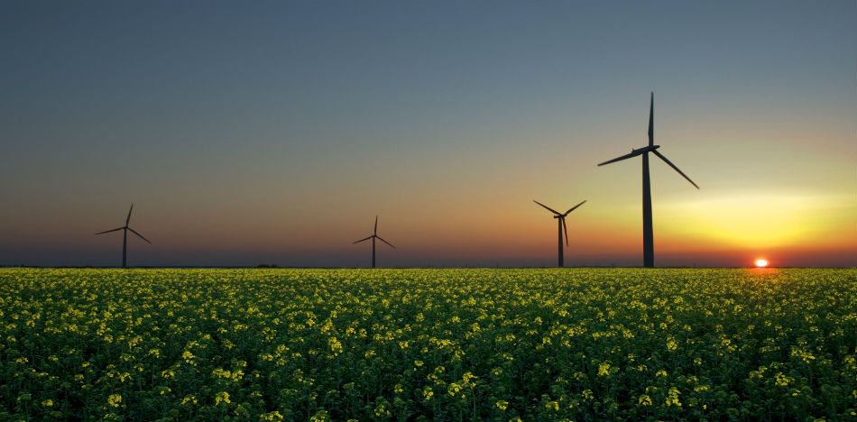 Estudio plantea que uso de energías renovables ayuda a revertir impacto ambiental. (WikiCommons)