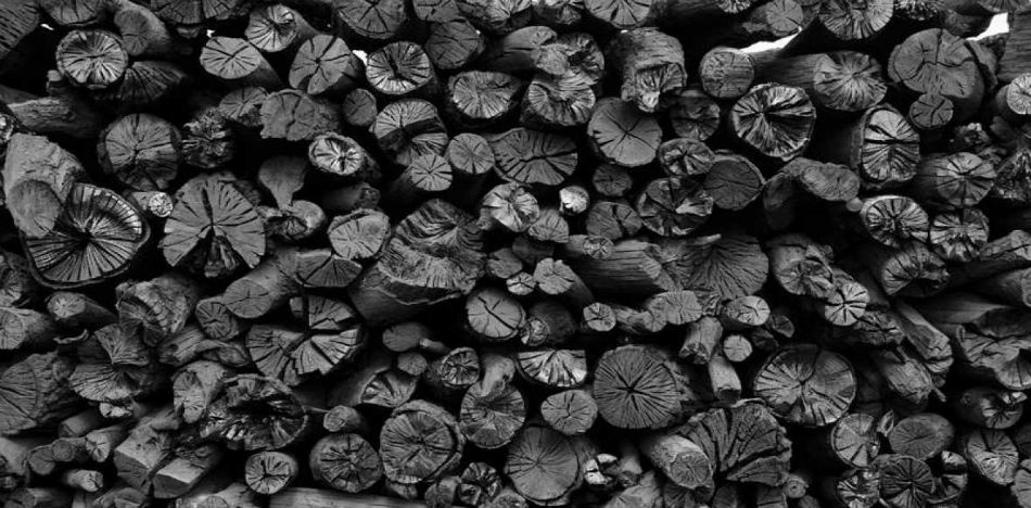 El carbón de marabú, una planta invasora muy común en los campos a lo largo de la isla, viene ganando fama internacional por el sabor que aporta a las comidas y por evitar la deforestación que tradicionalmente conlleva este tipo de producciones (RTVE)