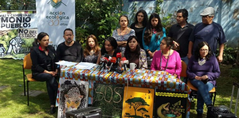 El grupo de expertos independientes exhortó por ello a las autoridades ecuatorianas a revocar la decisión y reformar la legislación que está utilizando para disolver a los grupos (Metro Ecuador) 