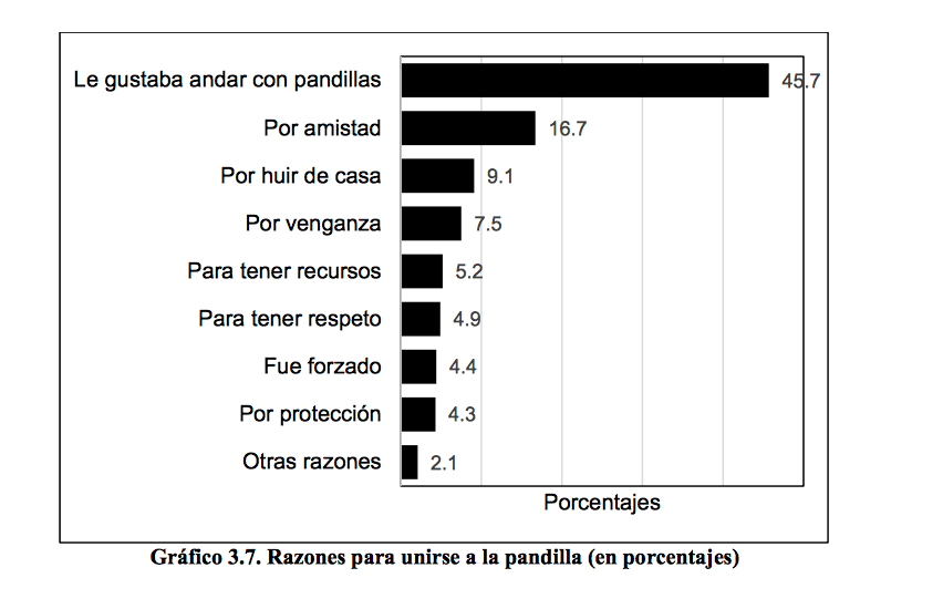 Hay diversos motivos que impulsan a alguien a pertenecer a una pandilla.