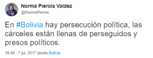 La diputada Norma Pierola Valdez es una de las que denuncia constantemente los atropellos del régimen de Evo Morales (Twitter)
