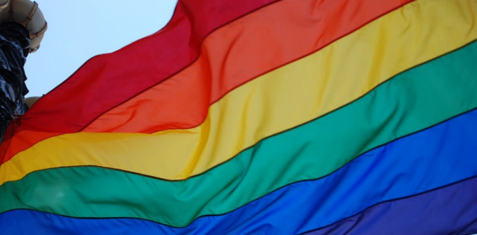 La senadora del Partido Liberal, Viviane Morales, busca prohibir la adopción homoparental y de personas solteras (Pixabay)