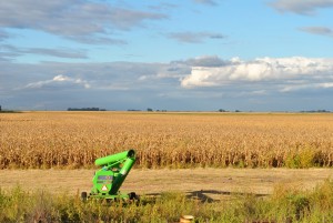"El sector agropecuario argentino se encuentra en crisis", sostuvo Abram. (PanAm Post)