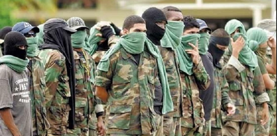 Las bandas criminales y el ELN se disputan los cultivos de coca dejados por FARC (YouTube)