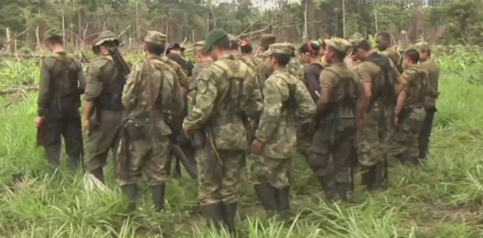 Guerrilleros de FARC estarían abandonado las zonas de concentración (YouTube)