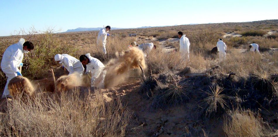 Eight Bodies Found in Southern Mexico