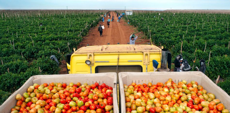 productos agrícolas