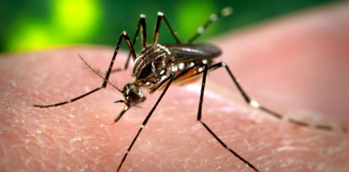 Honduras es el país centroamericano con más casos de Zika al registrar 11.400. (Microlector)
