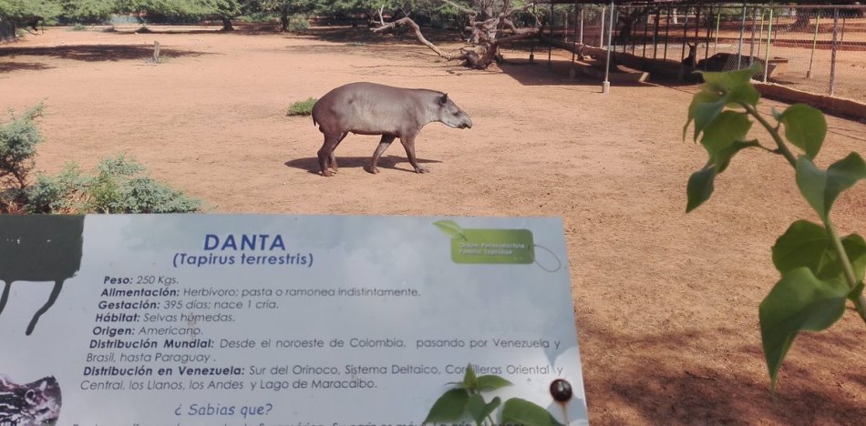 zoologico - venezuela- hambre